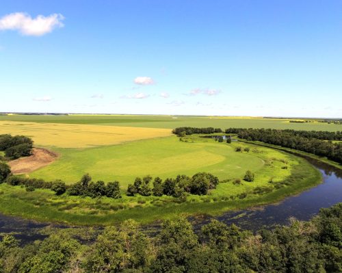 SRRWD PHOTO 

Before perennial grasses were planted in this horseshoe-shaped low lying area, the St Elizabeth area landowner would have to go back to seed after the water went down in spring. He no longer has to do that.