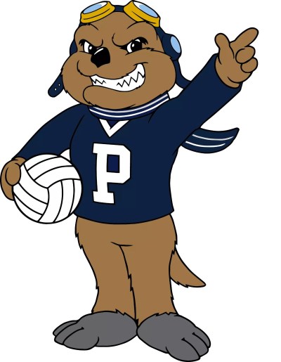 What name will this Otter have? The Providence Pilots are asking their fans for help in naming the team's new mascot. (Providence Pilots)