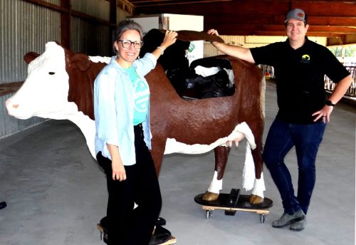 WES KEATING THE CARILLON 

Katharine Cherewyk, Executive Director of AITC-M and Carson Callum, General Manager of Manitoba Beef Producers and AITC-M Board Member, with Clover the life-sized beef calving model at this year’s Amazing Agriculture Adventure.