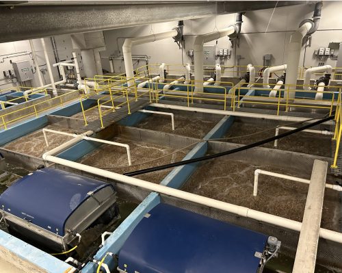 RIDGELAND COLONY PHOTO 

A maze of pipes supply food and oxygen, as well as remove waste and recycle the water in the advanced rearing tanks at Ridgeland Aqua Farms.