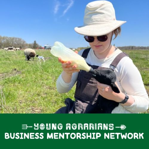 YOUNG AGRARIANS BUSINESS MENTORSHIP NETWORK
Promotional campaigns featuring those who benefitted from the program are helping draw others.