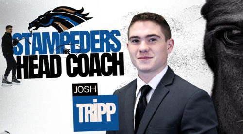 Josh Tripp was hired by his former team to be head coach after Barry Wolf and the Stampeders agreed to part ways earlier this season. (Swan Valley Stampeders)