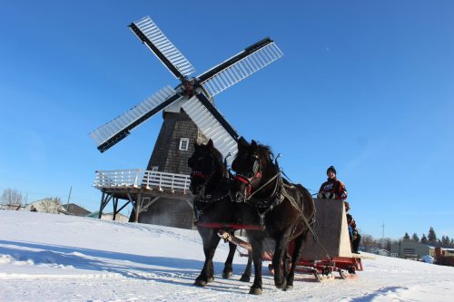 The South East Manitoba Draft Horse Association moved its Christmas on the Farm to the Steinbach Mennonite Heritage Village Jan. 5 to make room for the increasing number of visitors. Families layered up under a crisp blue sky to enjoy sleigh rides, with hot dogs and hot chocolate helping everyone warm up. Tins for the bin were collected for the local food bank.